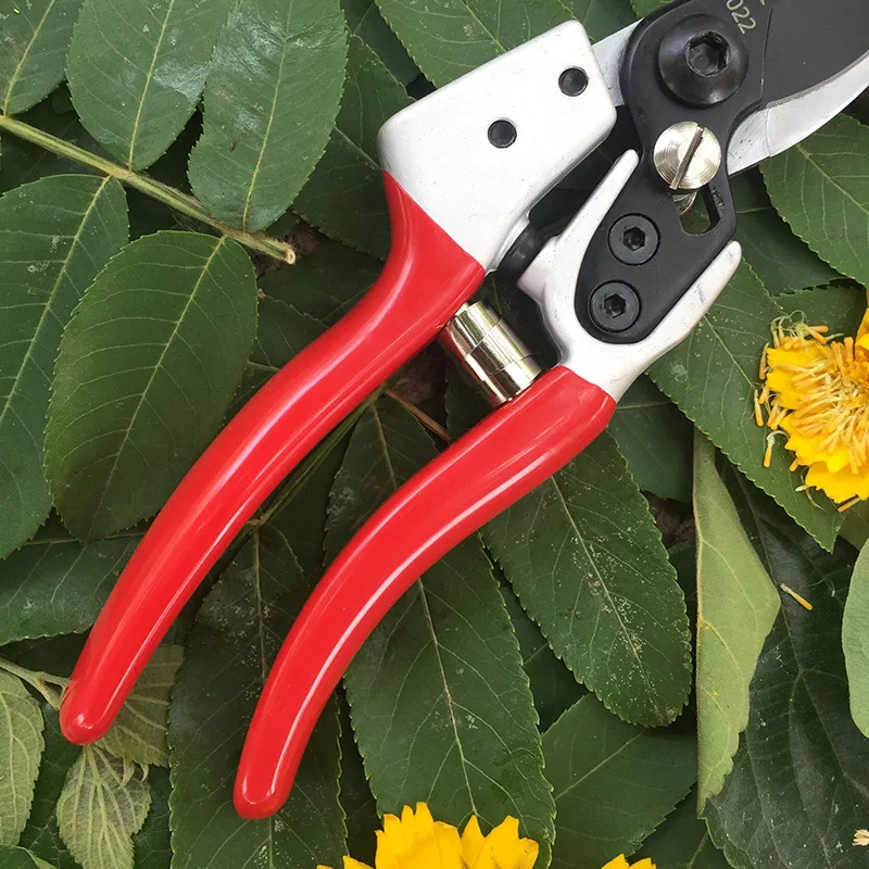 Árvore de fruto tesoura de poda tesoura ferramentas de jardinagem novo ramo de frutas tesoura sk5 tesoura de poda de madeira