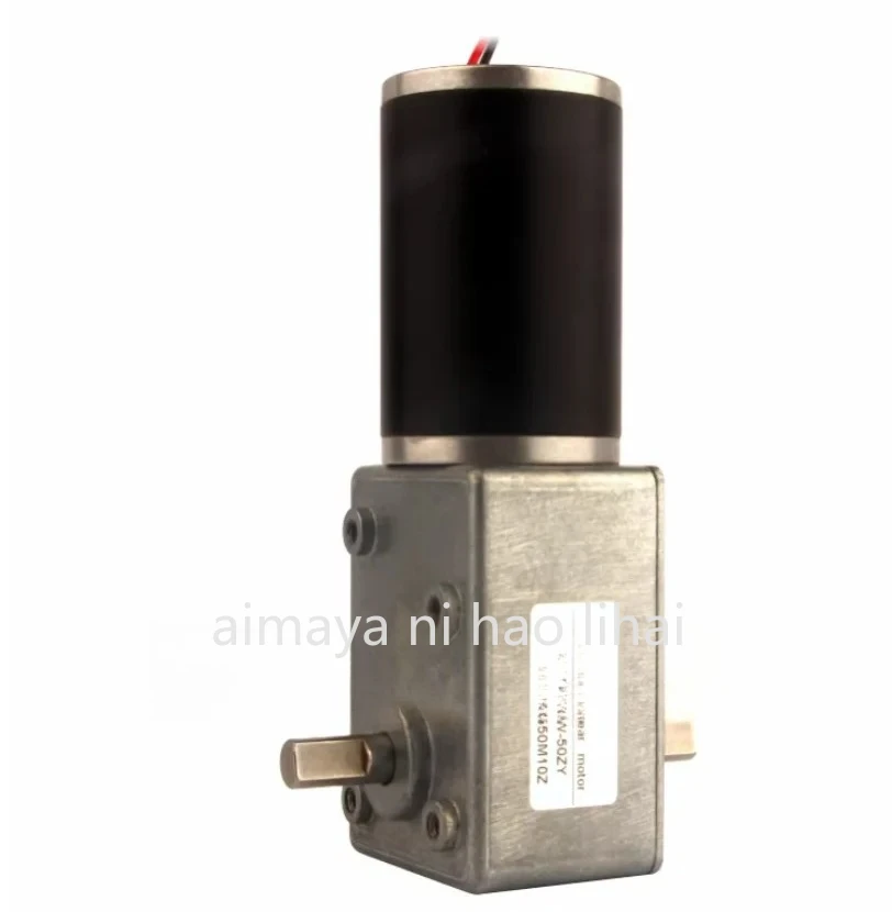 5882-50ZY double-shaft turbo worm DC deceleration motor large torque speed regulation motor 12V/24V forward and reverse rotation