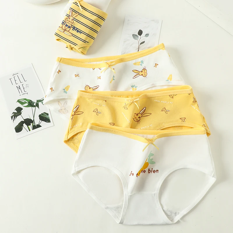 5Pcs/Set Women's Cotton Panties Cute Print Underwear Soft Girls Briefs Sexy Underpants Low Waist Female Breathable Lingerie