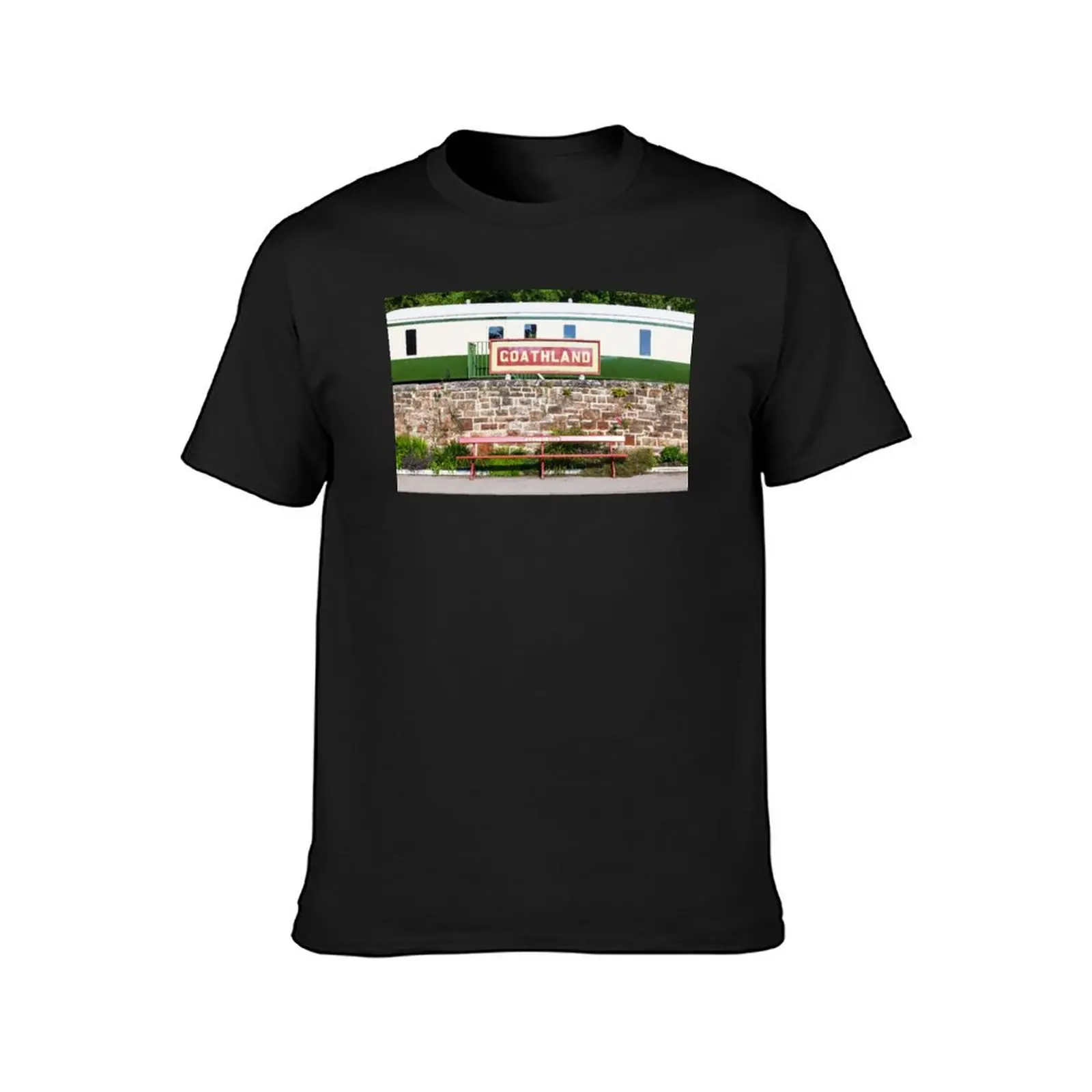 Goathland Railway Station, Yorkshire, UK T-Shirt Aesthetic clothing kawaii clothes customizeds heavy weight t shirts for men