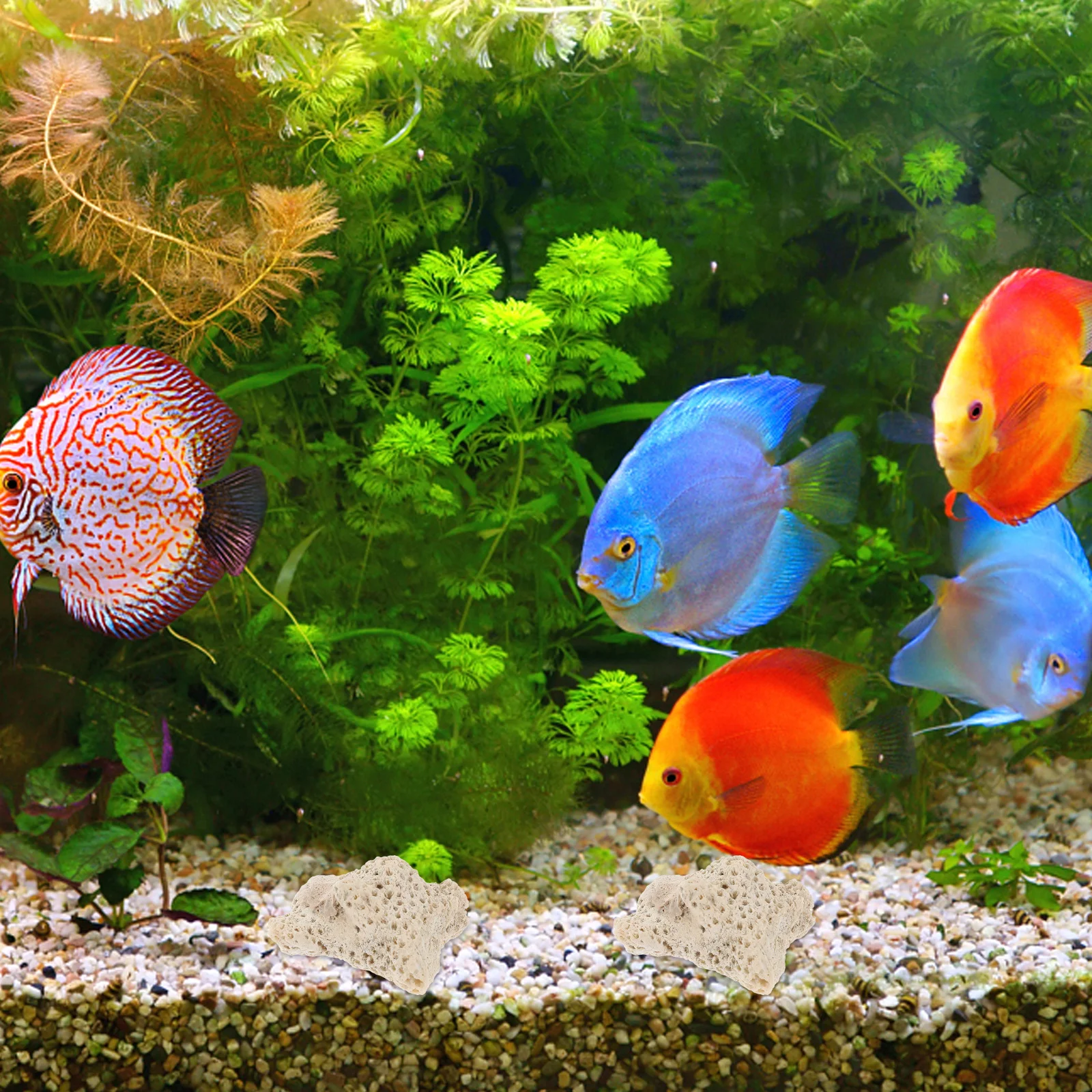 1 حقيبة سحق المرجان لمرشح حوض السمك وسائل الإعلام خزان الأسماك الديكور بركة تخطيط المرجان الحصى مرشح تنقية المياه الطبيعية