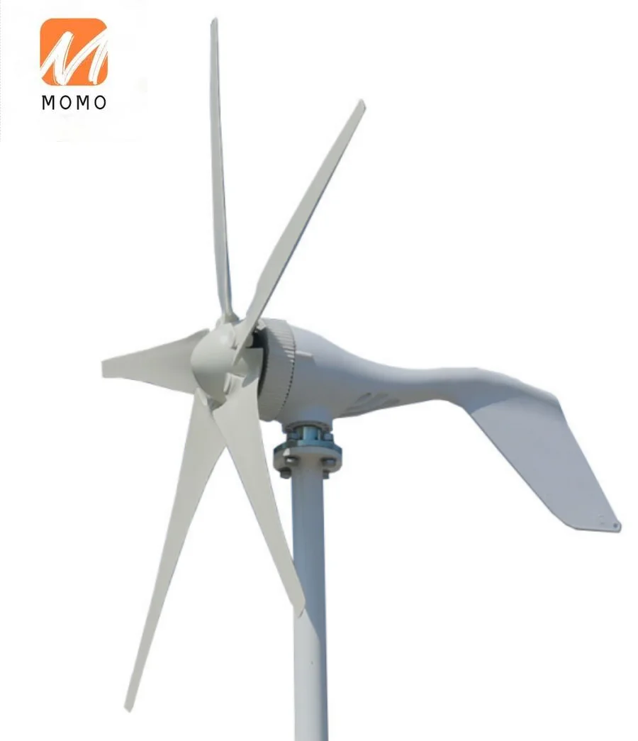 Small Wind-Driven Generator Generator 600W 400W 800W Wind Generator Turbine Home Park Street Lamp Magnet Generator