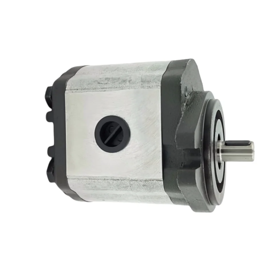 Pompa Hidrolik Seri PLP PLP10.2D0-81E1-LBB/BA-N-EL PLP10.6.3D0 PLP10.2D-30S0-LGC/GC-N-EL Pompa Gigi