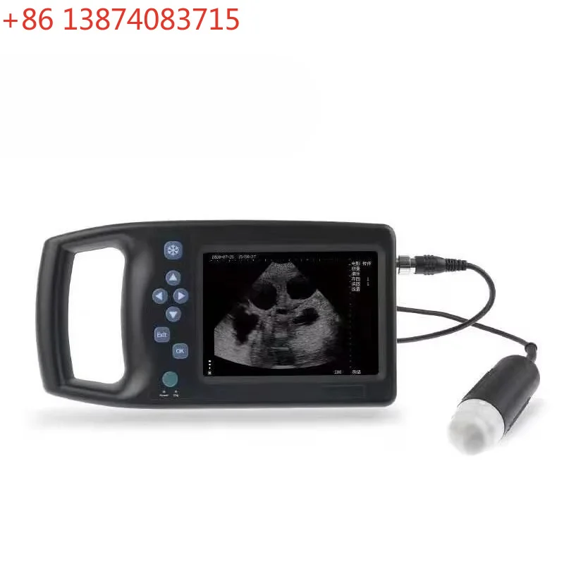 M6 Mechanical Fan Scan Veterinary Ultrasonic Diagnostic Instrument Support Probe Preheating with 5.7-inch UHD LCD