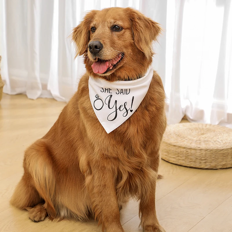 Fashion Pet Triangle Bandanas Adjustable Letter Print Neckerchief for Wedding Party Scraf Dog Saliva Towel Pet Supplies