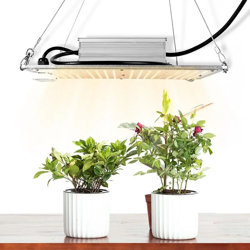 100 واط معلقة الطيف الكامل LED ضوء نمو النبات بونساي النباتات النضرة الخاصة ملء الضوء مقاوم للماء