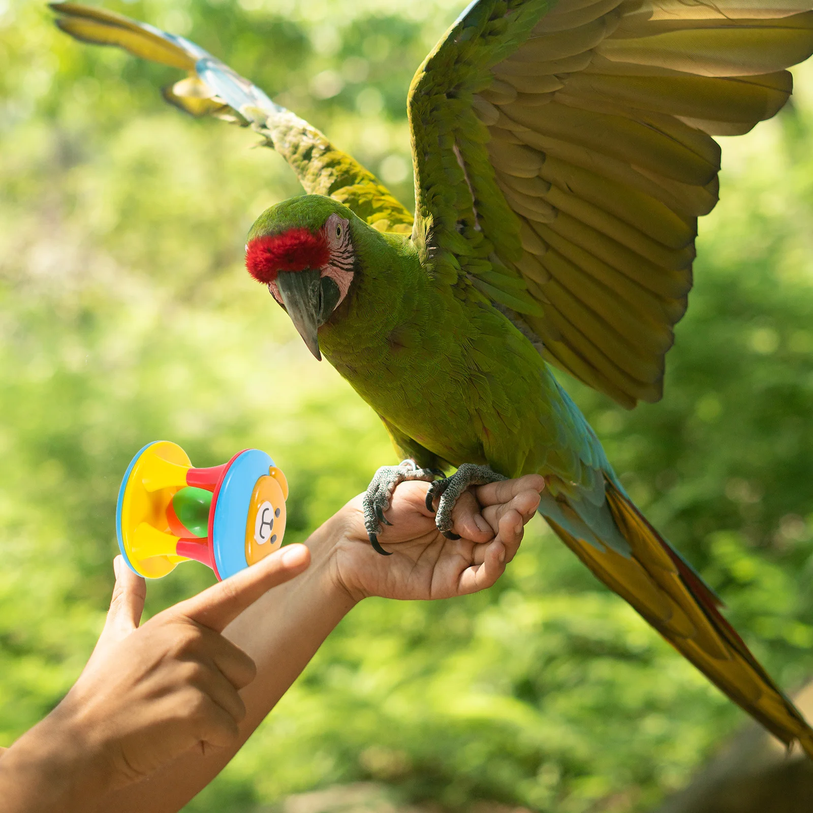 

3Pcs Safe Non Toxic Parrot Ball Chewing Entertainment for Cockatiel Parakeet Parrotlet Small Birds Cage Decor Parrot Ball