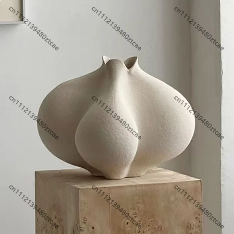 

Nordic Abstract Vase Luxury Home Decor Aesthetic Flower Vase Living Room Table Art