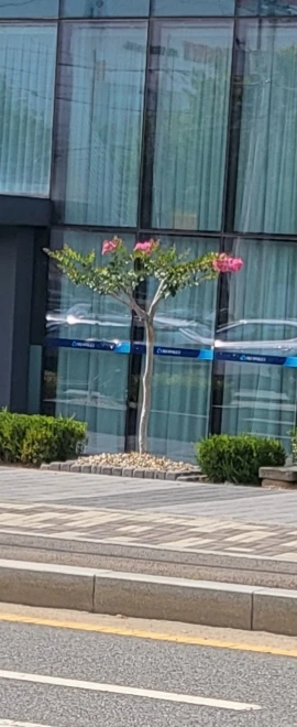 리뷰 사진