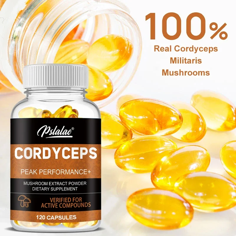 Cordyceps Capsule Supplement - Mushroom Extract, Provides Energy and Immune Support, Vegan