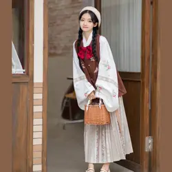 Modern Hanfu Chinese Traditional Fashion Dress Ming Dynasty Round Neck Women Autumn and Winter Style Brown Pleated Skirt