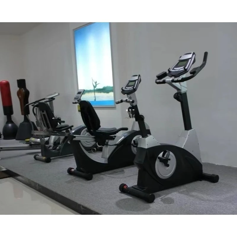 Unisex Home Fitness Aerobic Exercise Spinning Bike  Design in Black Carton-for Gym or Home Use