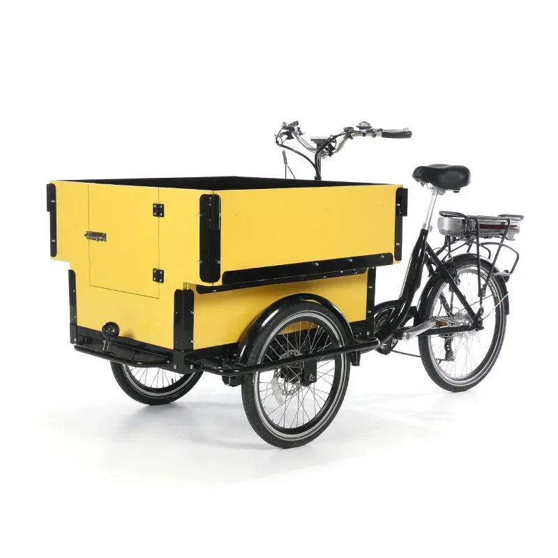 

250W Electric 3 Wheel Cargo Bike Bicycle Kids Road Scooter Pedal Adult Tricycle Cart Go Shopping Trolley