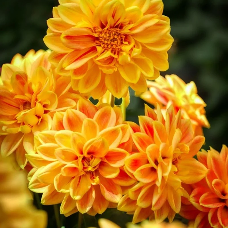 

4 шт. 1/10 шины для гоночных автомобилей на радиоуправлении, шины для дорожного туризма и дрифта, колесо для Tamiya TT01 TT02 TA06 XV-01 PTG-2, аксессуары, детали белого цвета