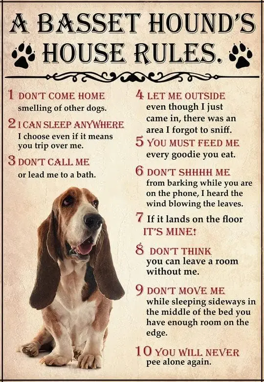 

Metal Sign A Basset Hound House Rules Funny Retro Vintage Aluminum Sign for Home garden Coffee Wall Decor Metal Tin Sign