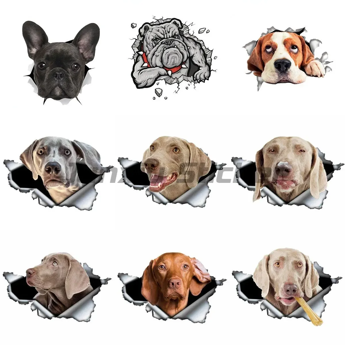 

Creative Fine dog Decal Car kayak Motorcycle Sticker Dog Pet Waterproof Vinyl Decal Car Accessories Decor