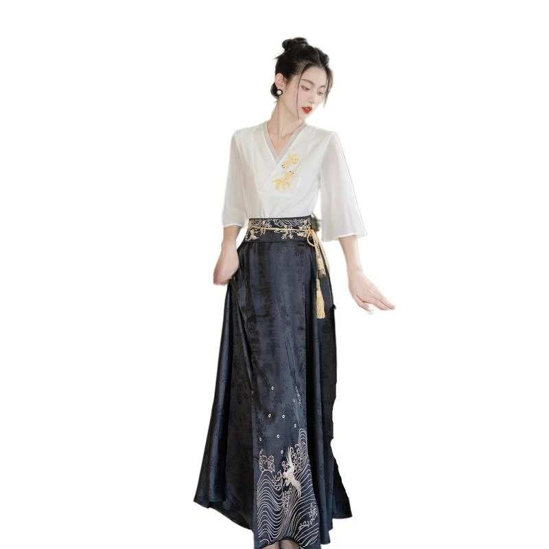 تنورة وجه حصان من سلالة مينغ الصينية التقليدية للنساء ، مجموعة هانفو على الطراز العتيق ، فستان رقص شعبي للسيدات ، عتيق ،