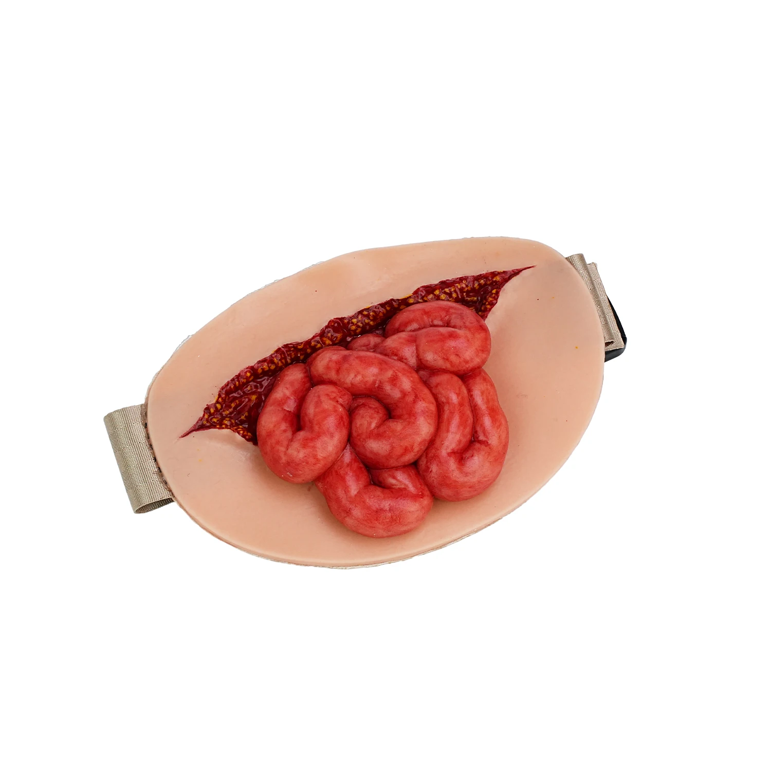 Wearable Abdominal Evisceration with Intestine Simulator Wound Moulage