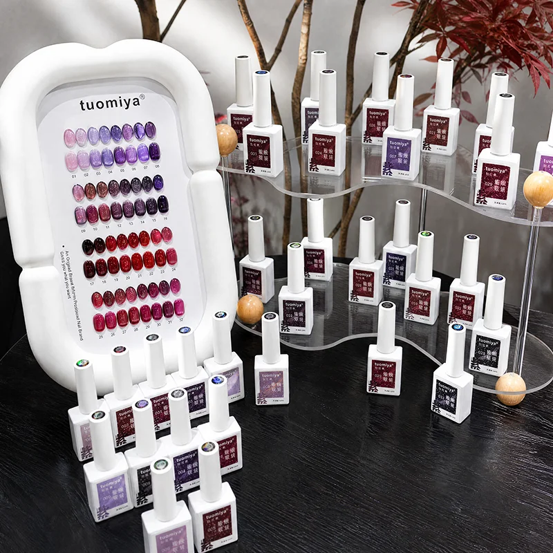 12ml Hema Free TPO Free Cat Eye Magnetic Gel Nail Polish Salon Grade Professional Nail Art Manicure with Color Card