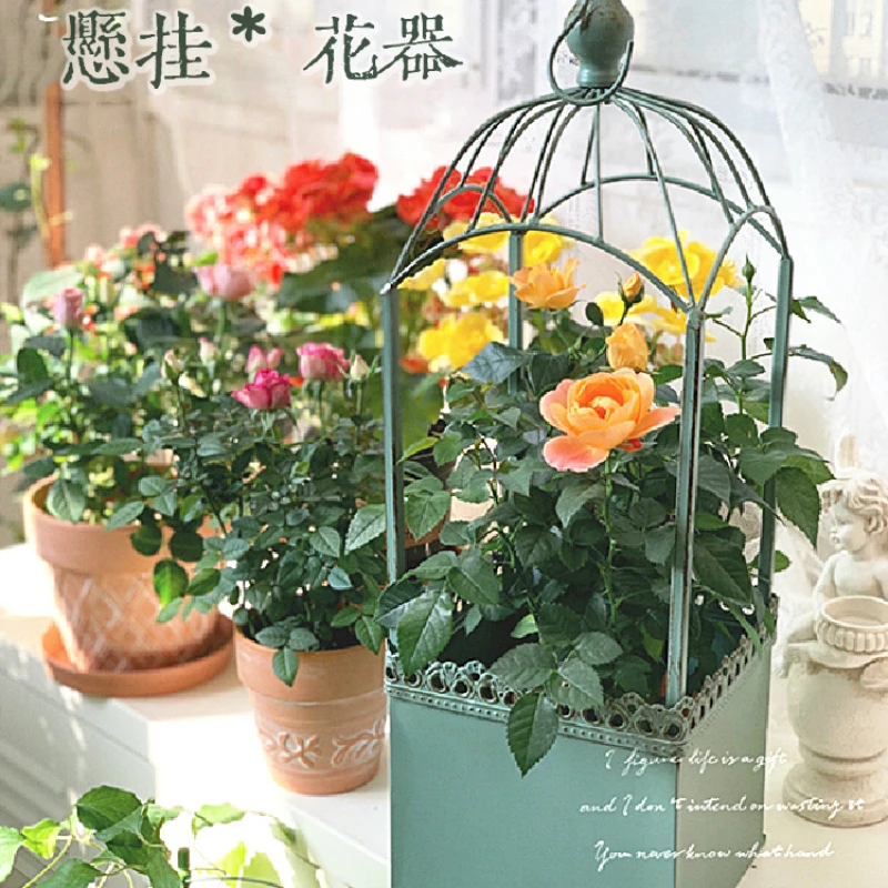 

*Hanging basket, outdoor iron art, hanging yard, garden, hanging decoration, potted plant, balcony,