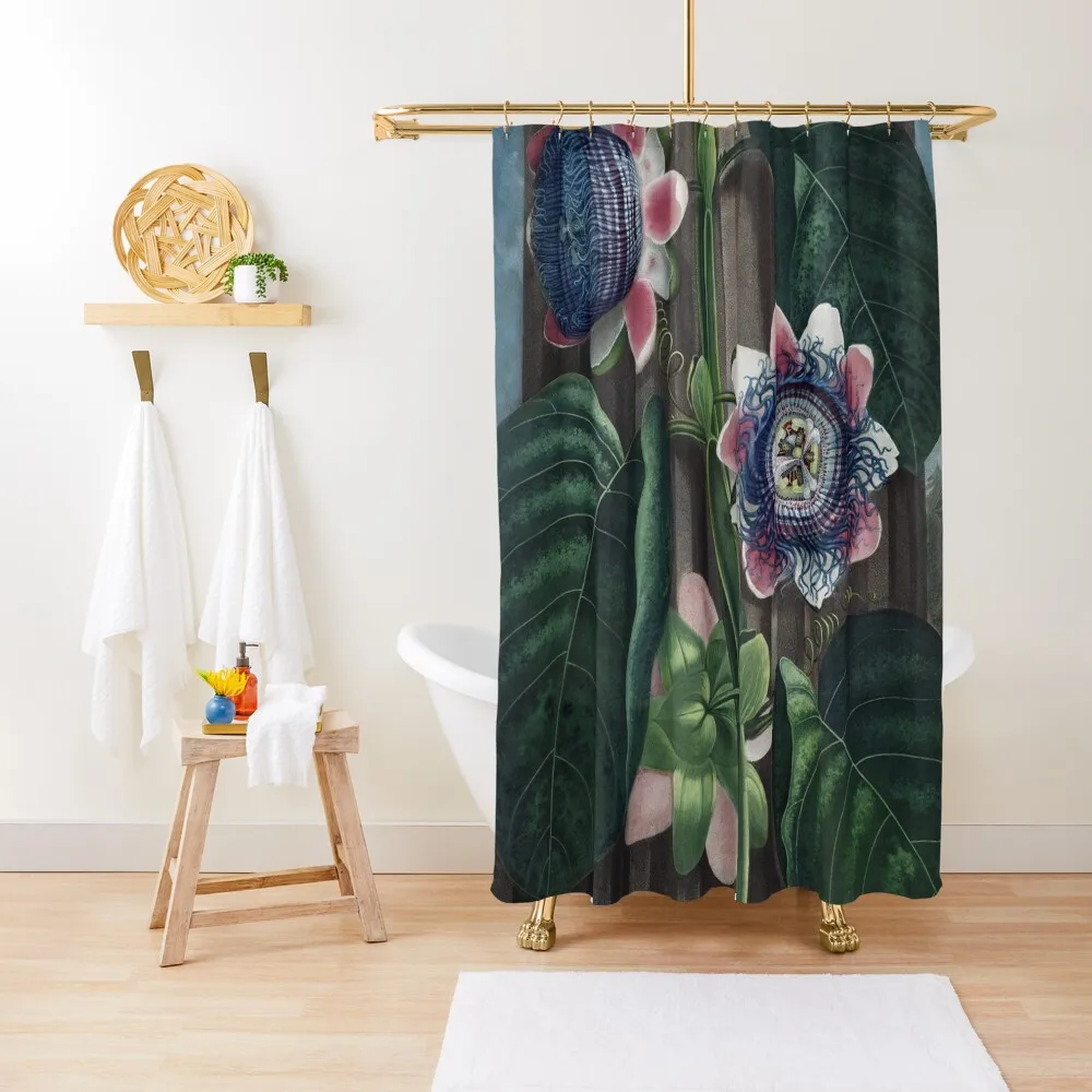 

Vintage Flower Plate - The Quadrangular Passion Flower - Robert John Thornton Shower Curtain Elegant Bathroom Curtain