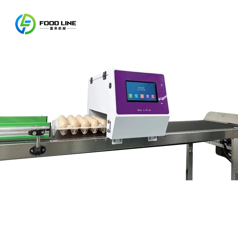 Six Heads Logo Expiry Date Eggs Printer Conveyor Price Batch Expiry Date Coder Printing 6 Heads Online Inkjet Printer for Egg