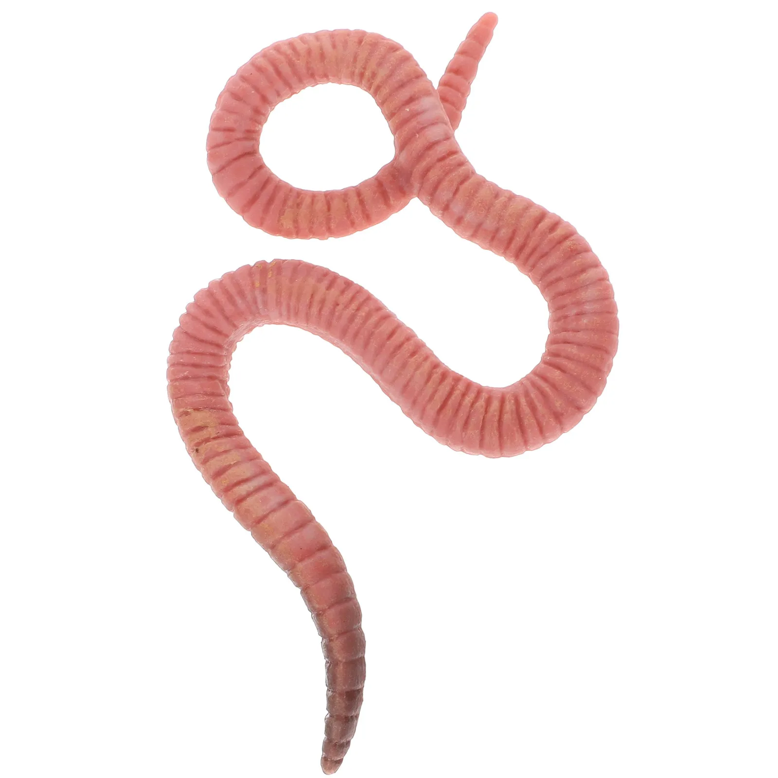 

Имитация земляного червяка, искусственный декор, пластиковая прочная безопасная фигурка, обучающий декор для сада и спальни, маленькая реалистичная статуэтка насекомого