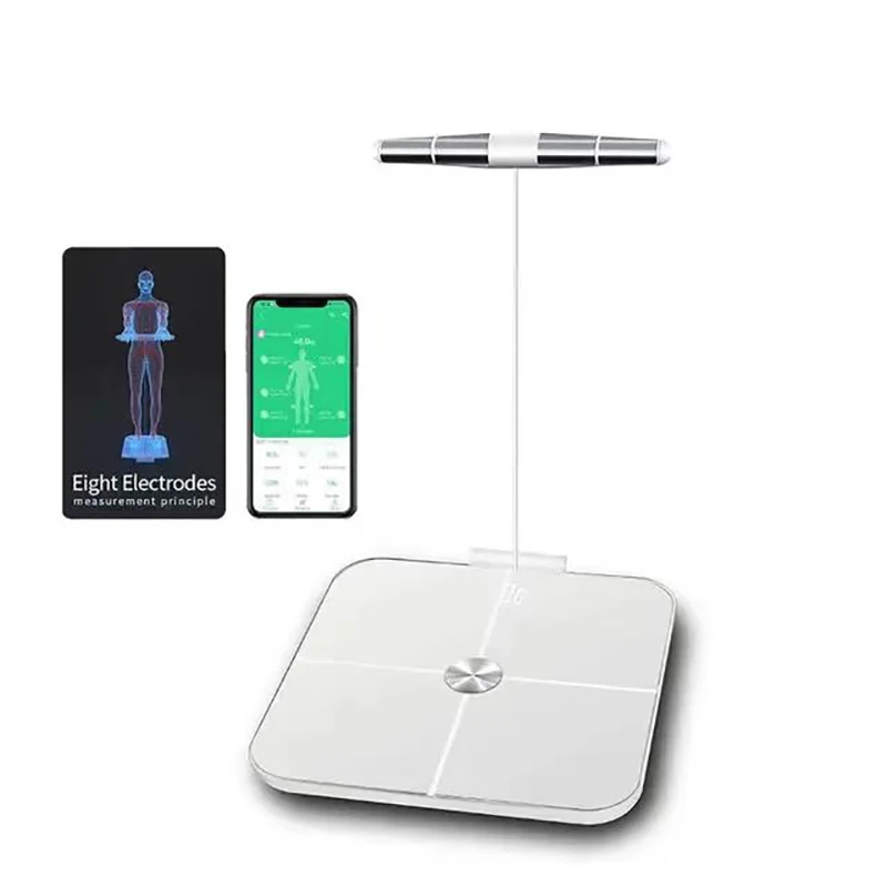 New Eight Electrode Intelligent Bluetooth Body Fat Scale For Fat Protein BMI Non-Inductive Dual Frequency Current Measurement