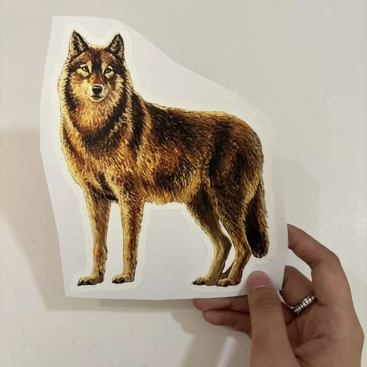 100Pcs Custom Character Vinyl Stickers, Waterproof Die Cut Photo Decals, Water Bottles & Gift Packaging view 3