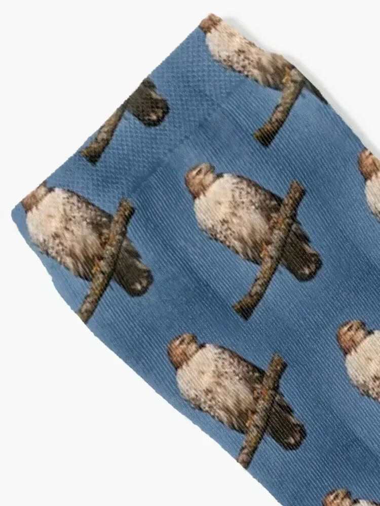 Red-Tailed Hawk Socks crazy valentine gift ideas heated Socks Man Women's