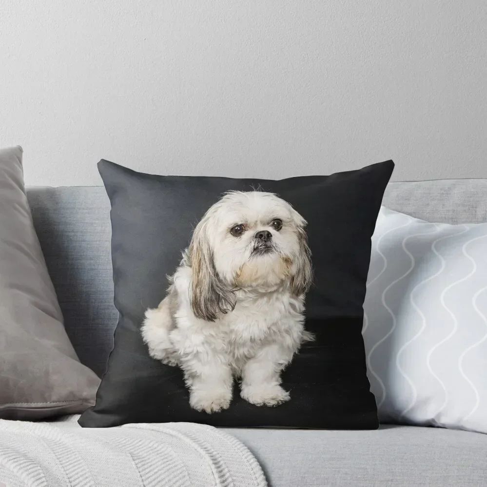

Timmy Throw Pillow luxury covers Sofa Pillow Cover Cushion Covers For Living Room Decorative Cushions For Luxury Sofa pillow