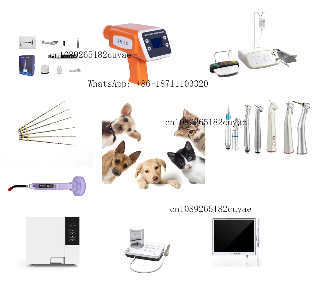 PH Rotary Files for Pet Medical Treatments Veterinary Instruments & Supplies Root Canal Treatment Model P-CW