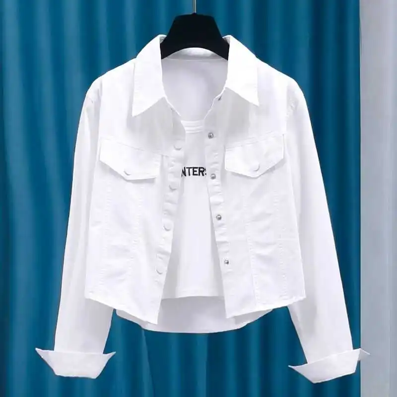 Chic Long Sleeve Shirt Jacket Women's Spring Autumn Elegant Slimming Sweet And Spicy Girl Fashionable Versatile Shirt Coat