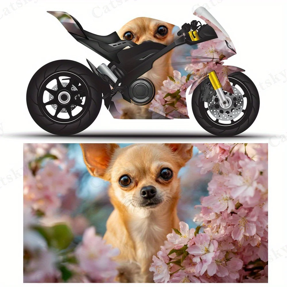 

Наклейки на мотоциклетную пленку Chihuahua в цвете, прочные клейкие наклейки из ПВХ для индивидуальной настройки мотоцикла, устойчивая к атмосферным воздействиям защита