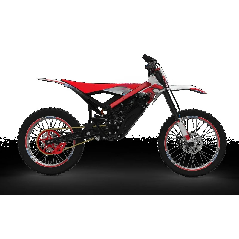 Ares Rally Pro Off-Road 74V Adult Electric Motorcycle