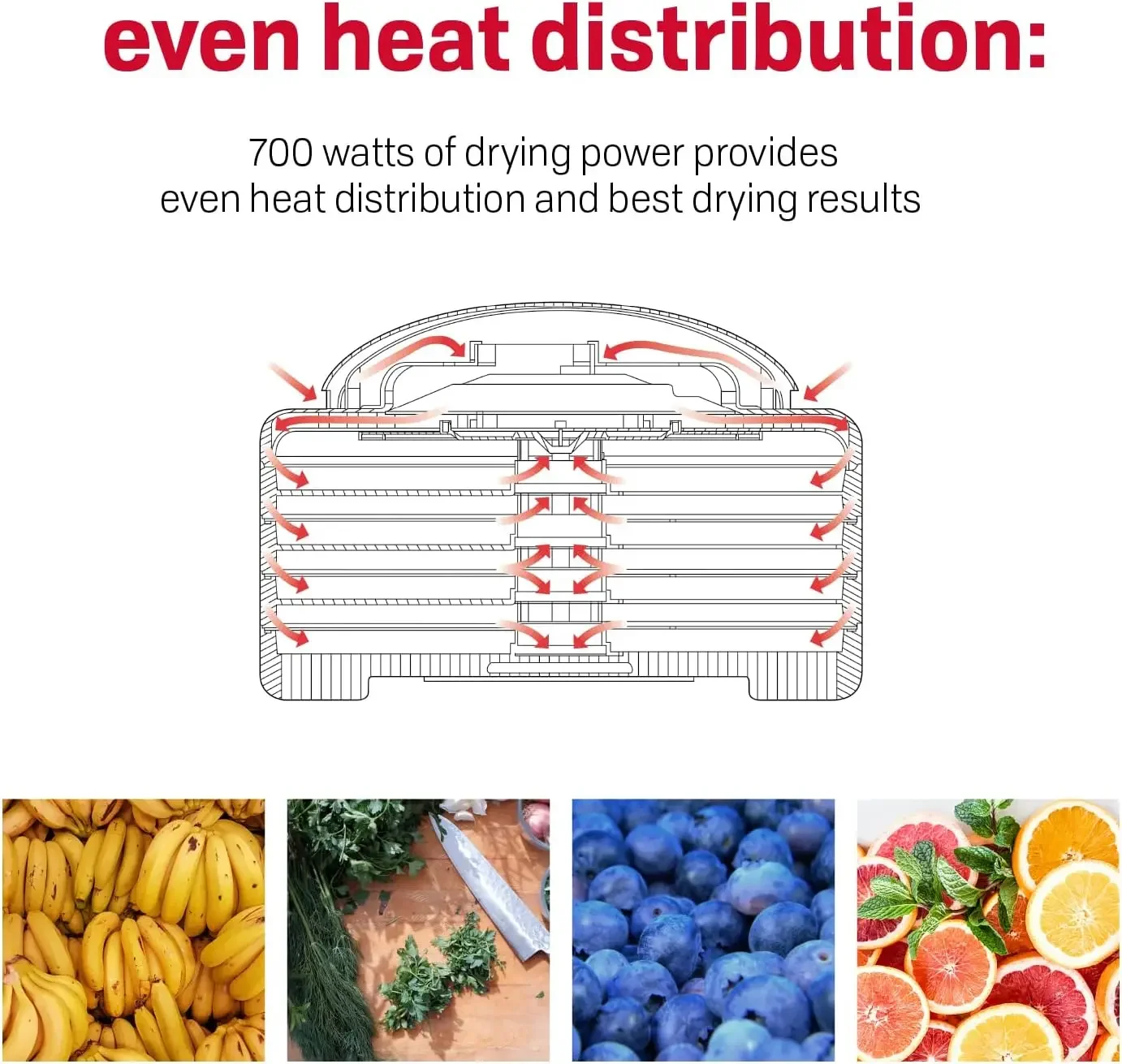 FD-80A Square Shaped Food Dehydrator, For Snacks, Fruit, Beef Jerky, White