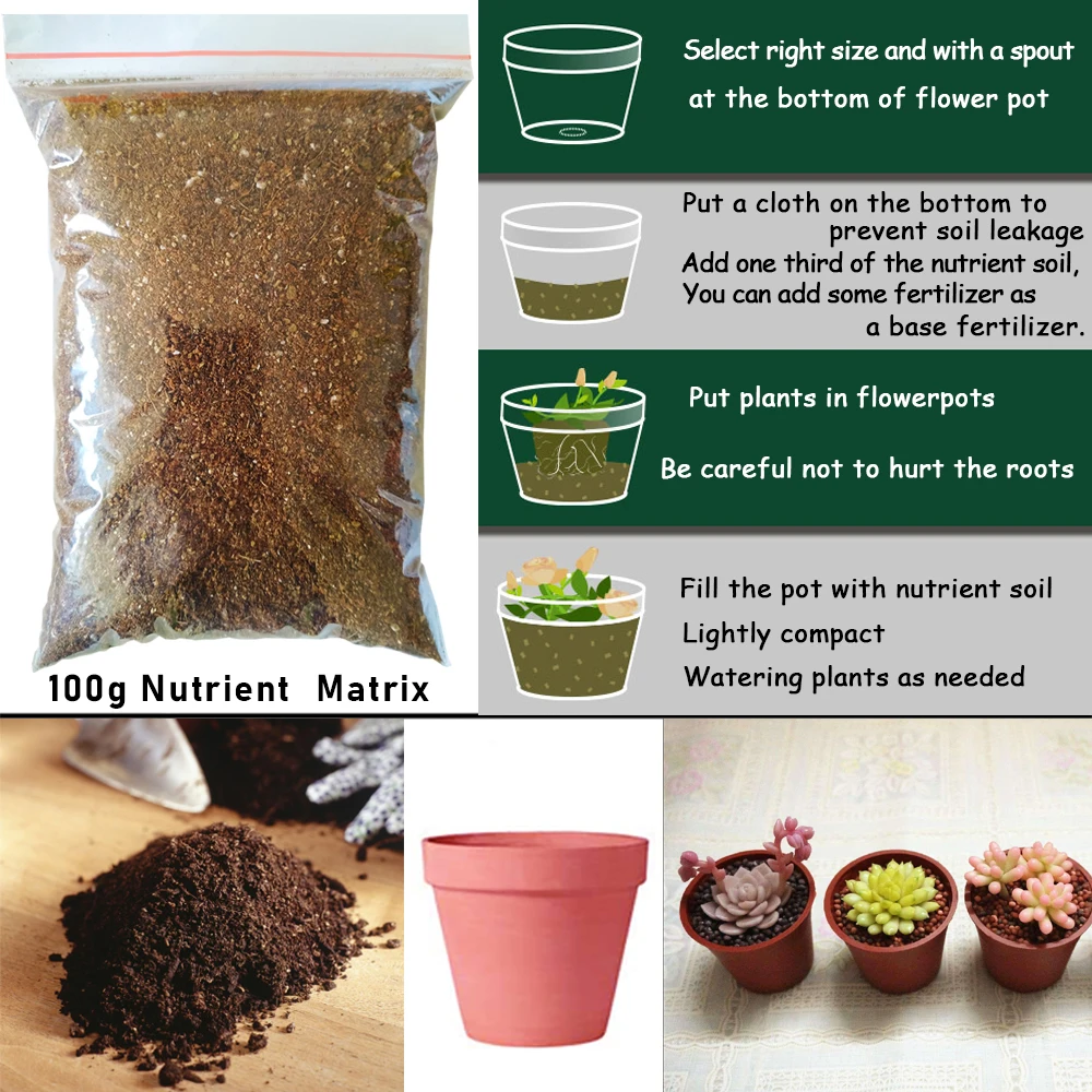 100g Nutrient Matrix Rich NPK Fertilizer for Succulent Garden BonsaiDry Configure soil Materials