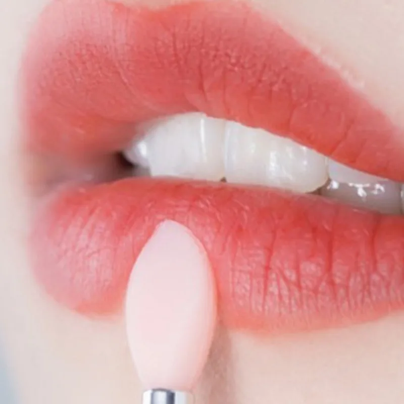 1/3 個多機能シリコーンリップブラシポータブルカバー防塵口紅口紅ブラシアイシャドウブラシ