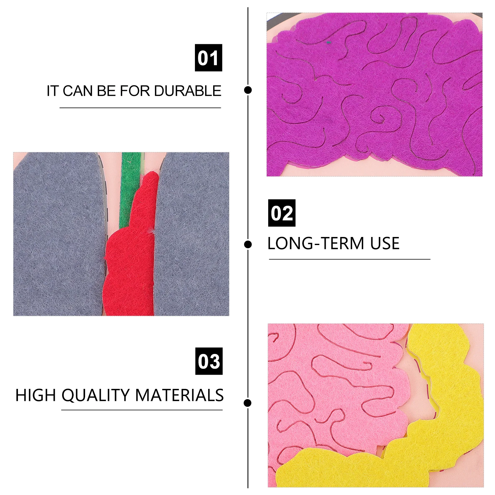 

3Sets Cognitive Organs Educational Creative DIY Teaching Aid Boost Hand Skill Imagination and for Kids Organs Model