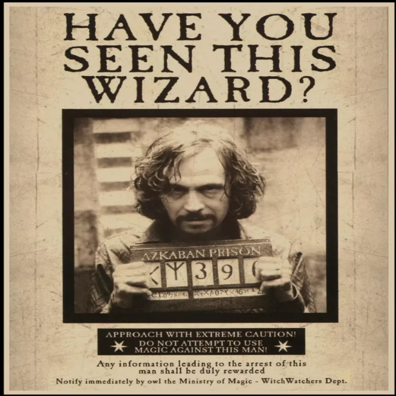 Kits de pintura al óleo por números, padrino Sirius Orion negro, lienzo de dibujo de números, imágenes DIY por números, decoración del hogar