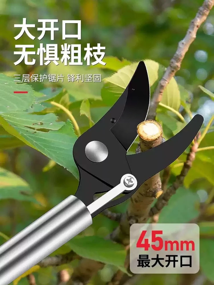 Telescopic High Altitude Fruit Picking Scissors with Pruning Shear, Extended Picker for Lychee, Loquat and Longan Harvesting