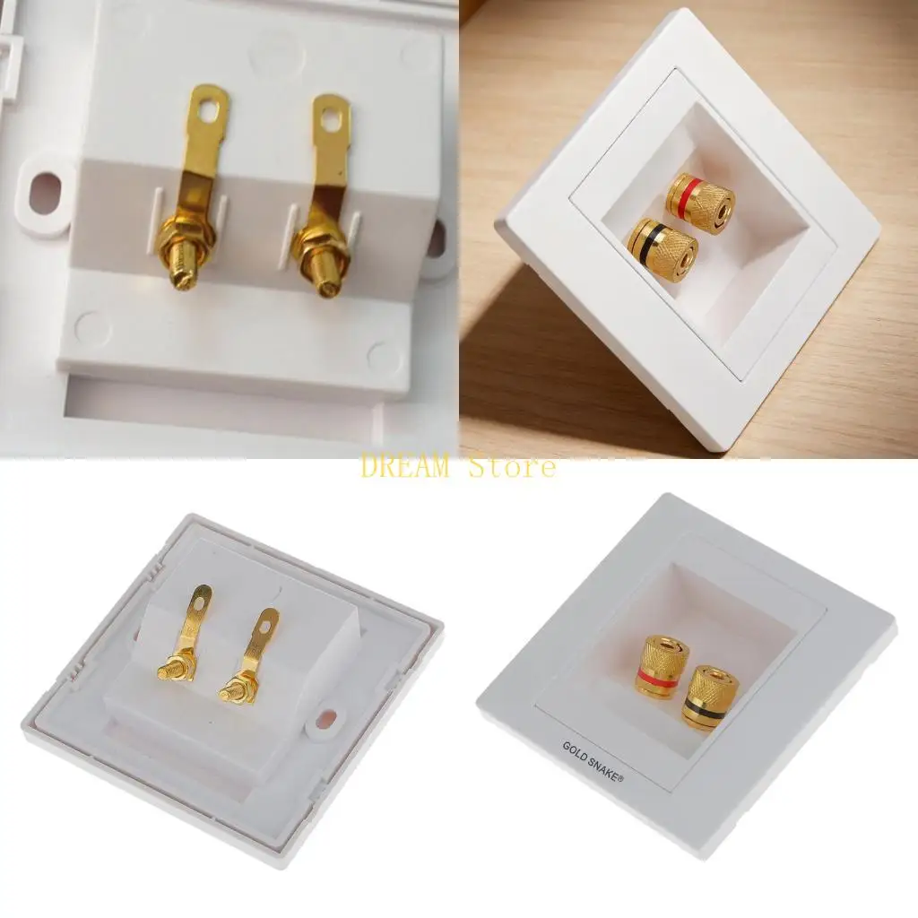 Two-Position Banana Binding Post Wall Plate for Speaker Wiring Best Sale