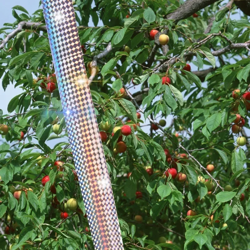 80/50 متر الطيور تخويف الشريط مكافحة الطيور الشريط على الوجهين عاكس الردع تخويف الشريط للطيور الثعلب الحمام مبيد الحشرات الشريط أشرطة