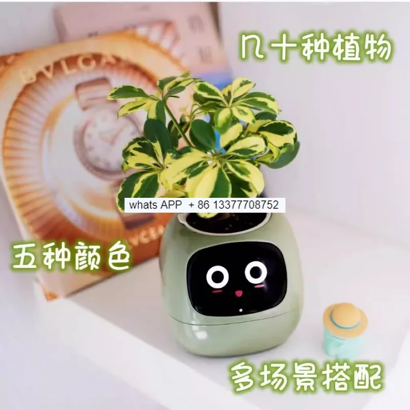 Ivy Smart Plant Cute Pet Machine Smart Flower Pot Table with Trendy Black Technology Good Product Creative Gift