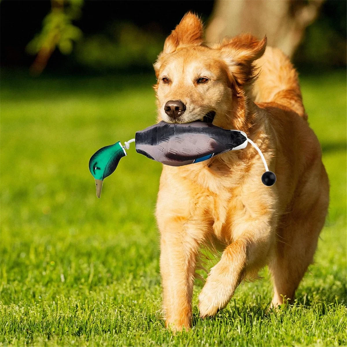 Duck Dummy Bumper Mimics Dead Duck Bumper Toy per l'addestramento di cuccioli o cani da caccia per adulti