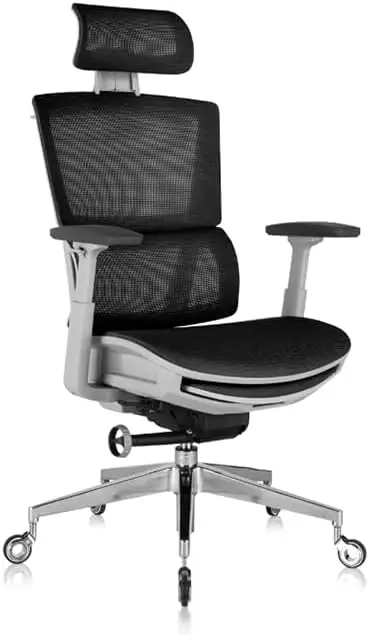 

Nouhaus Rewind Ergonomic Office Chair with Footrest and Lumbar Support with Wheels, Mesh High Back Home Office Desk Chairs