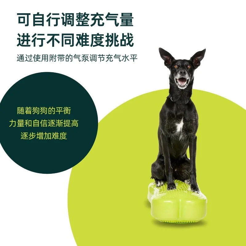 Dog Rehabilitation Mat Dog Fitness Platform Dog Balance Training Reconstruction Bone Ball view 3
