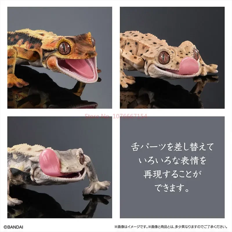 Bandai Gashapon Big Biological Map Gecko Lizard Blue-tongued Skink Simulation Action Figure Movable Model Toy For Kids