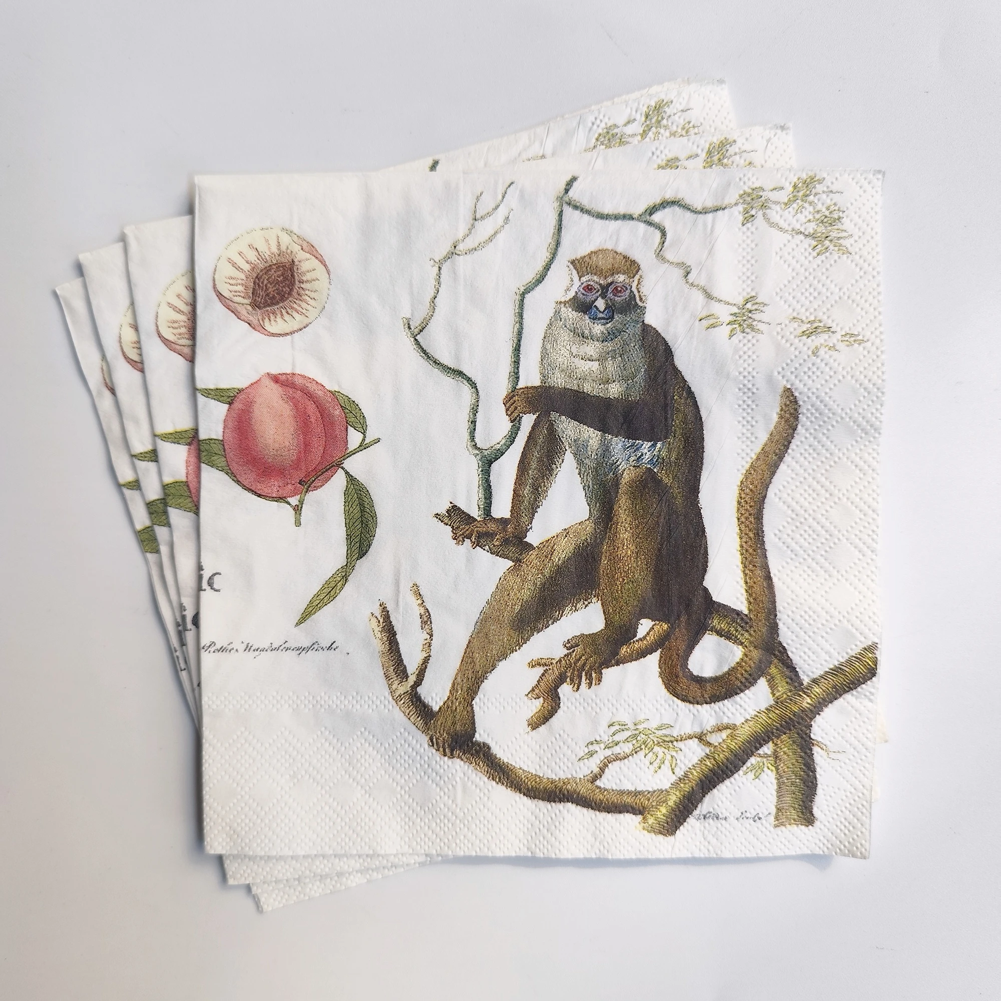 20 Count Watercolor Tropical Toucan Monkey & Peach Printed Paper Napkins, Perfect for Afternoon Tes, Picnic, Decoupage Crafts