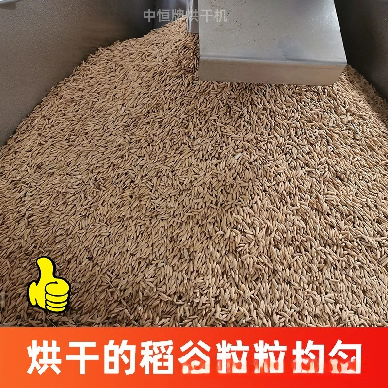New Rice Dryer Corn Agricultural Grain Air Dryer Household Rapeseed Wheat Factory